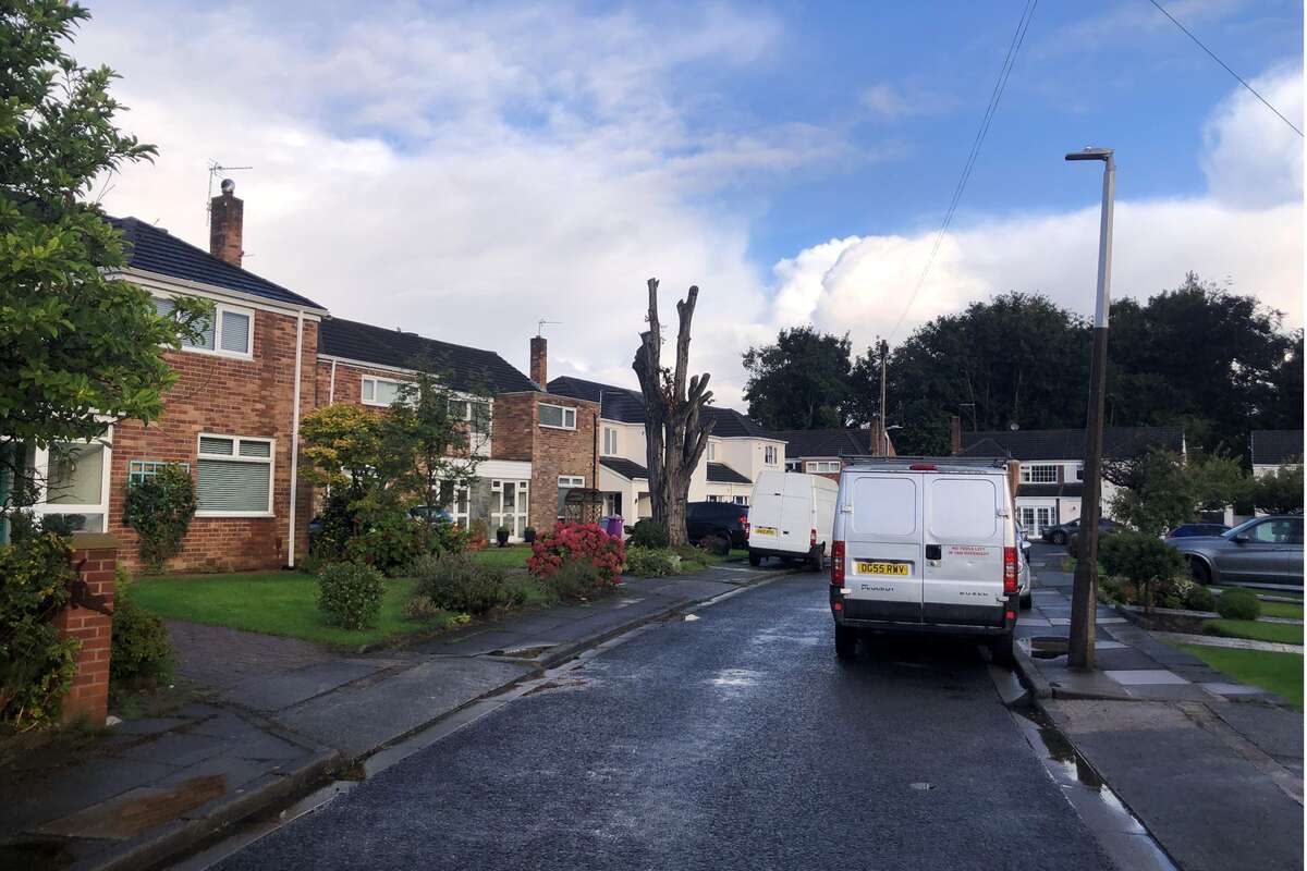 Man fined for cutting down tree in his garden worth £114,000