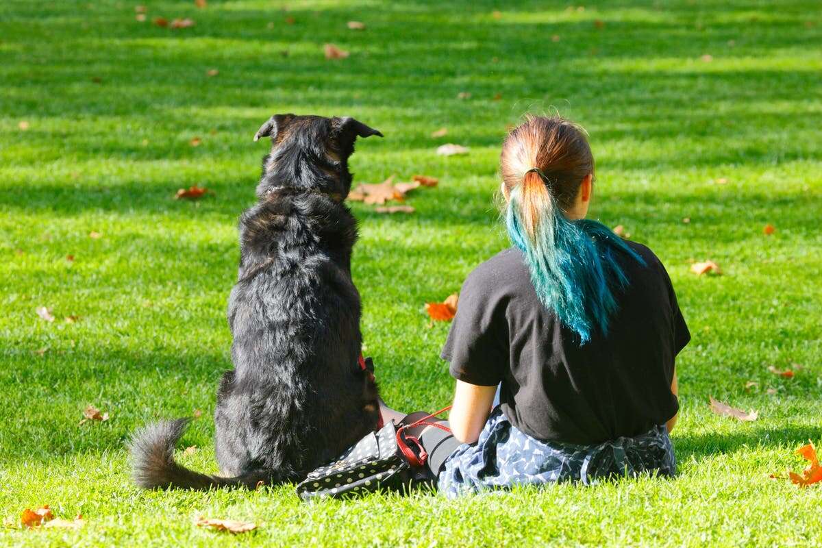 Study finds link between having a dog and girls’ physical activity