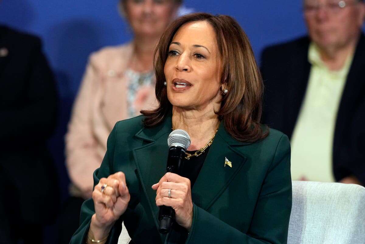 Kamala Harris makes casual weed comment in election stress discussion