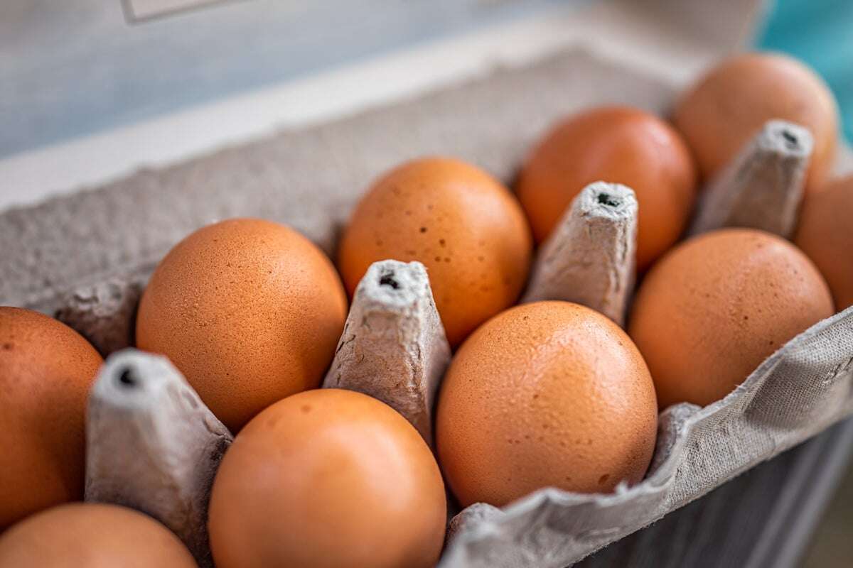 100,000 eggs worth $40,000 stolen from trailer amid national shortage