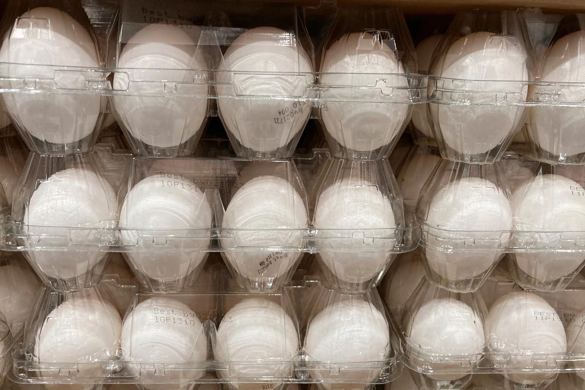 Costco organic eggs recalled over concerns of salmonella contamination