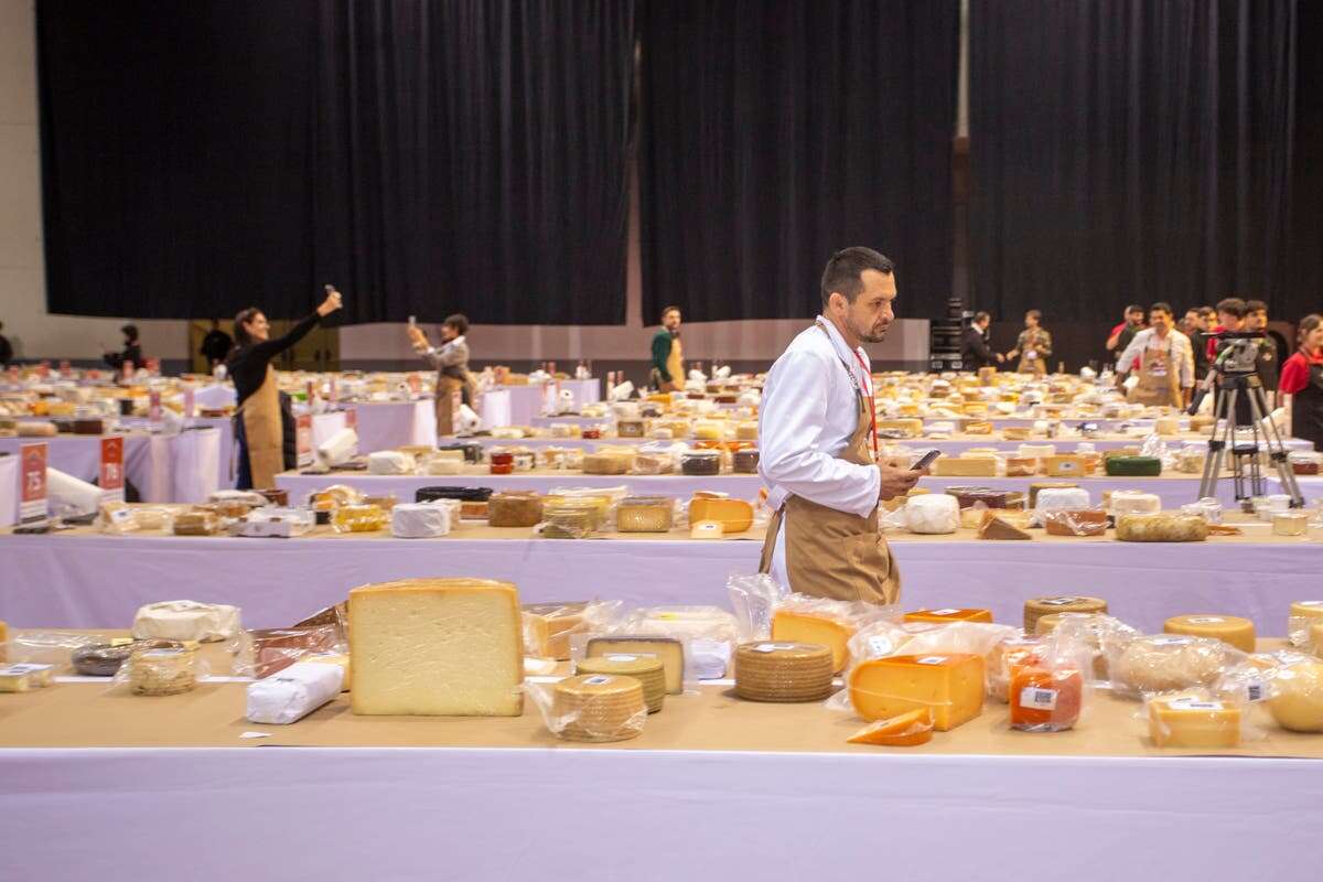 UK cheesemakers miss out on awards after entries get stuck in customs