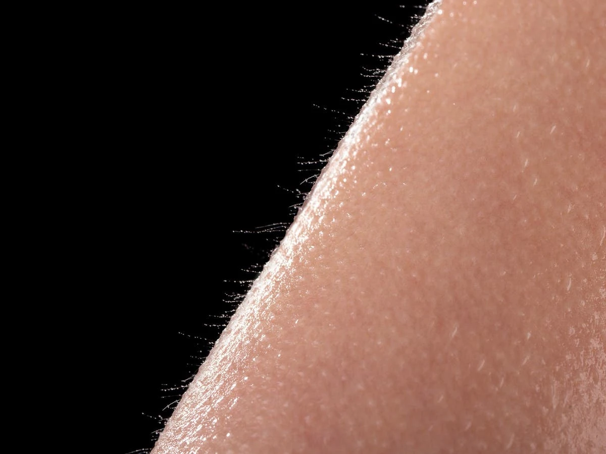 Robots learn to feel human touch without artificial skin