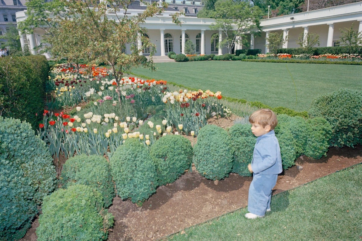 Jackie Kennedy’s grandson slams Trump for paving over her garden