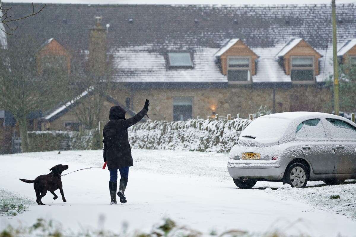 Met Office reveals whether white Christmas is coming to UK