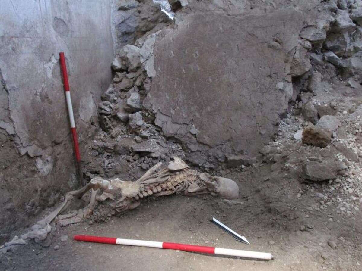 Pompeii find suggest earthquakes made Roman city’s destruction worse