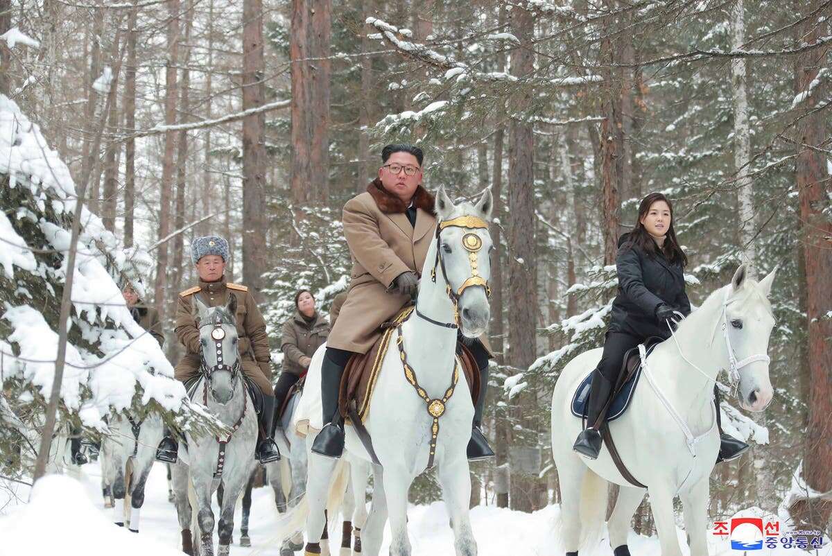 Putin ‘gifts Kim Jong-un horses in exchange for artillery for Ukraine’