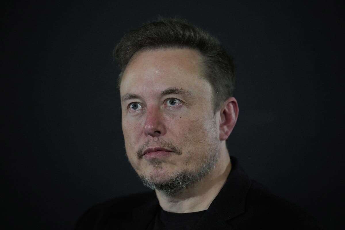 ‘Majority of voters’ say Elon Musk impacting UK politics negatively