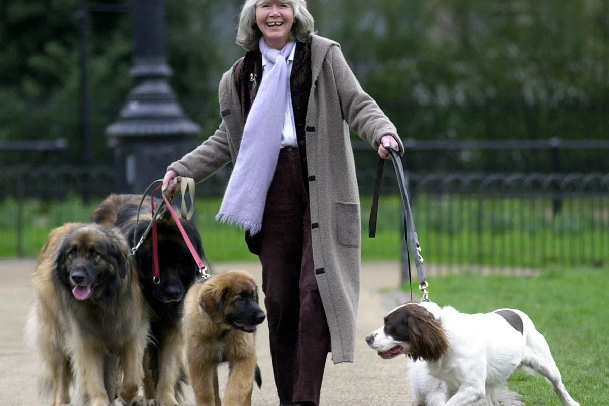 Jilly Cooper believed you’re reunited with your dogs in heaven