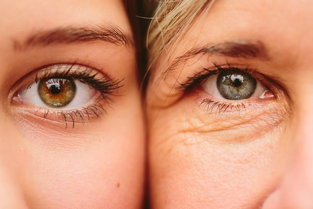 Modern eyesight evolved from a worm-like creature that lived in oceans