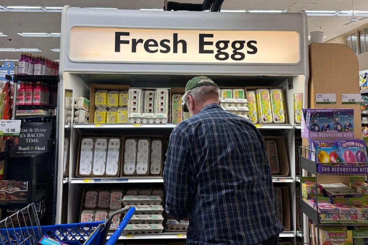 A top U.S. egg producer lost 95% of its chickens to bird flu