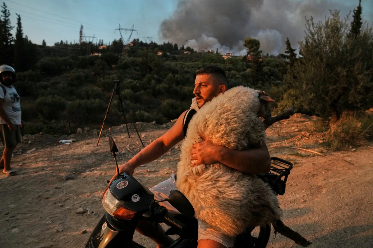 Deadly wildfires cause chaos across Europe as thousands evacuated