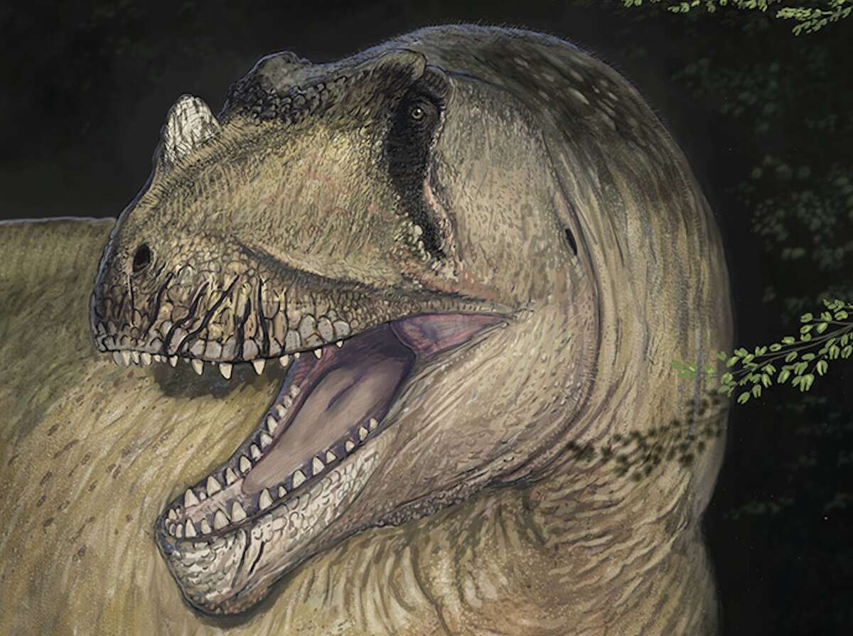 Giant dinosaur discovered in Egypt after fossils destroyed in WW2