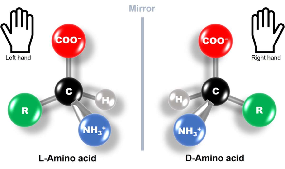 Lab-made ‘mirror bacteria’ could endanger all life on earth