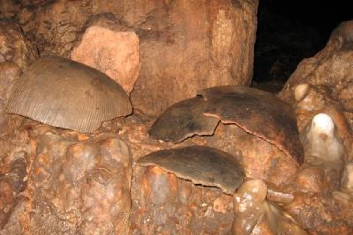 Skulls found in ‘blood cave’ sacrificed to rain god in Mayan ritual
