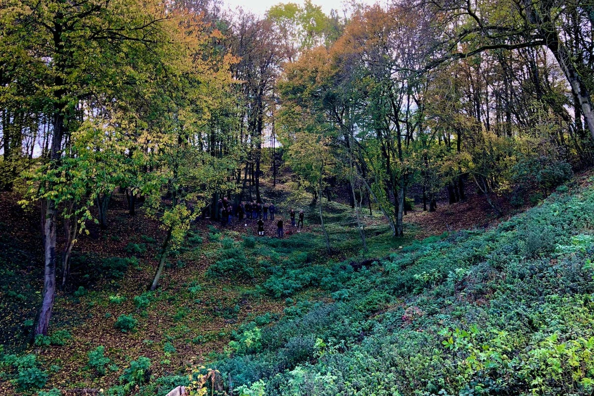 First scientific study of World War One crater yields ‘significant’ new insights