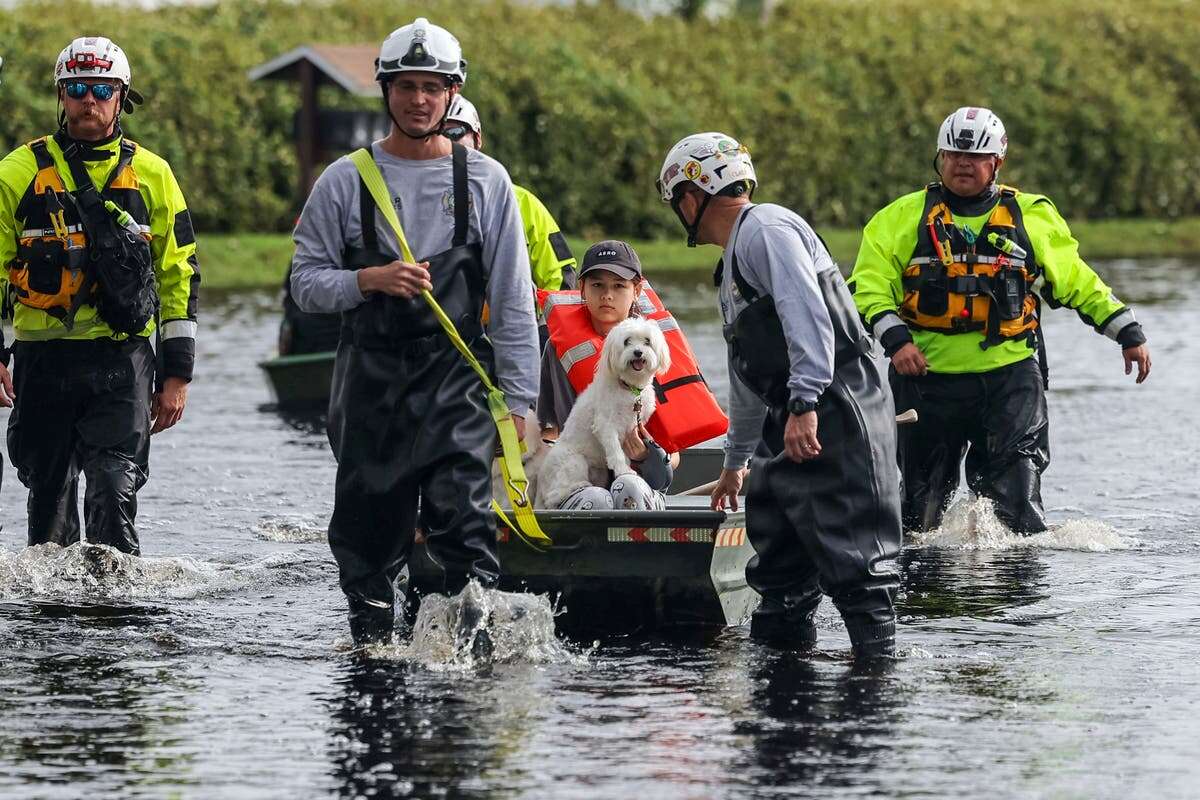 Alligators, stingrays could be loose in Florida floodwaters