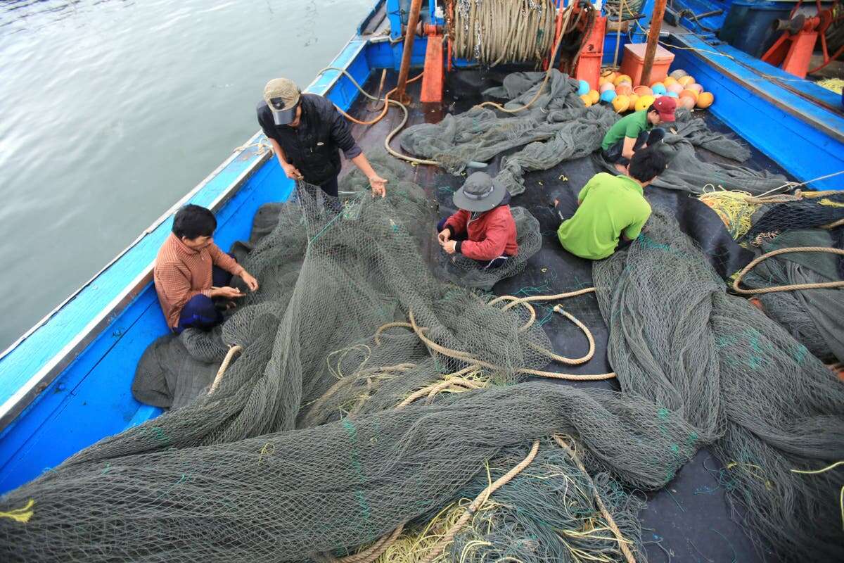 Vietnamese fishermen recount ‘brutal beating’ by Chinese forces