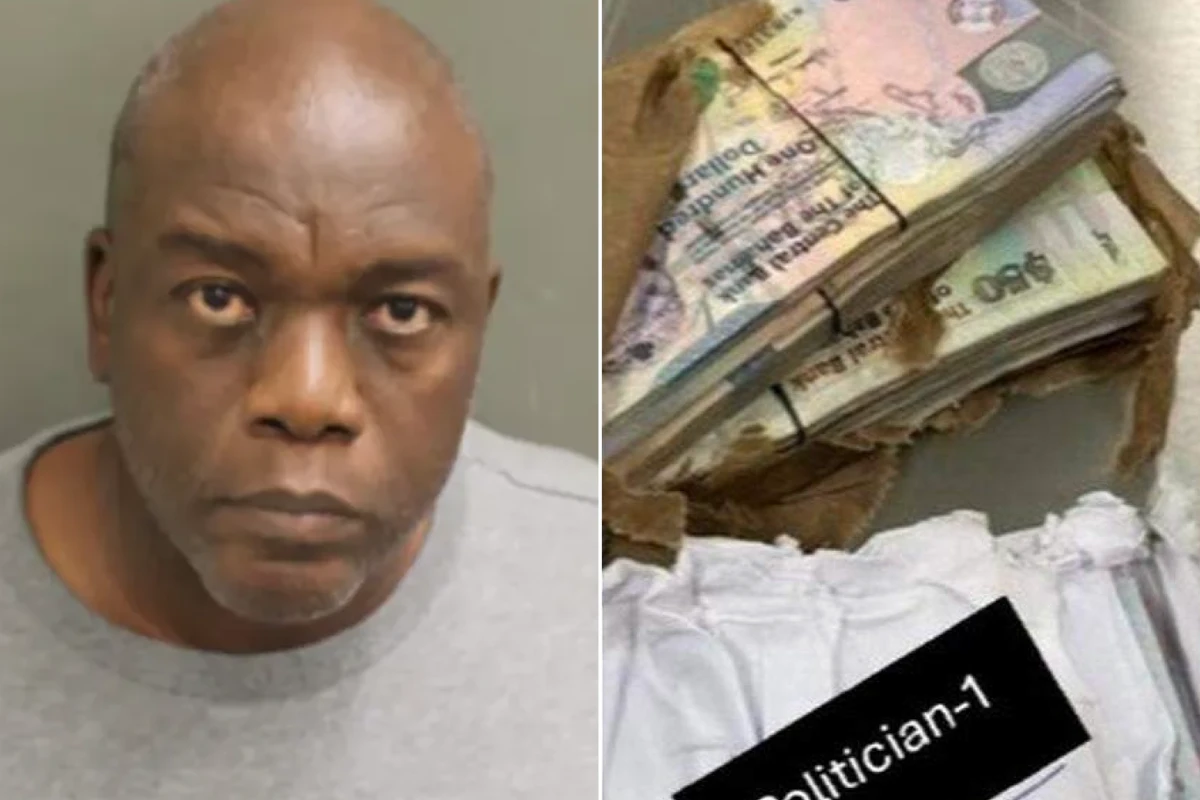 Man in Florida plane crash arrested over smuggling: investigators