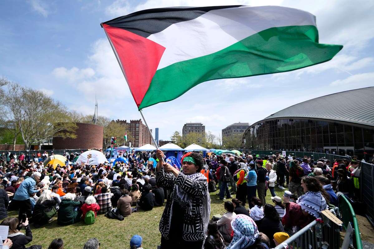 Thousands less pro-Palestine protests this semester after crackdowns