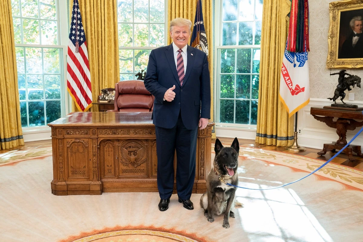 Bomb sniffer K-9s see DOGE cuts as Trump shares 2019 pic with hero dog