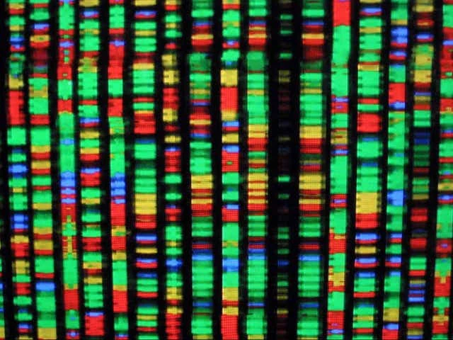 Missing chunks of human genome finally sequenced to reveal new secrets