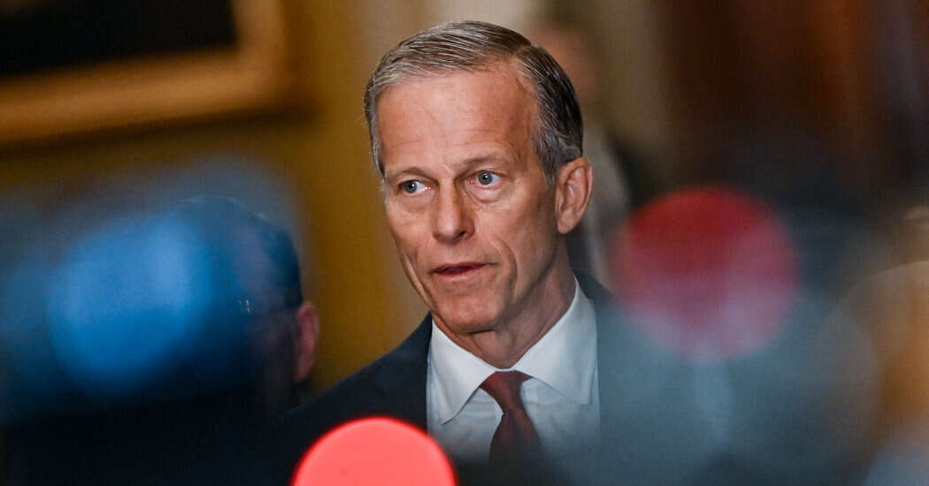 Trump Allies Push Him to Block Thune From Becoming Senate G.O.P. Leader