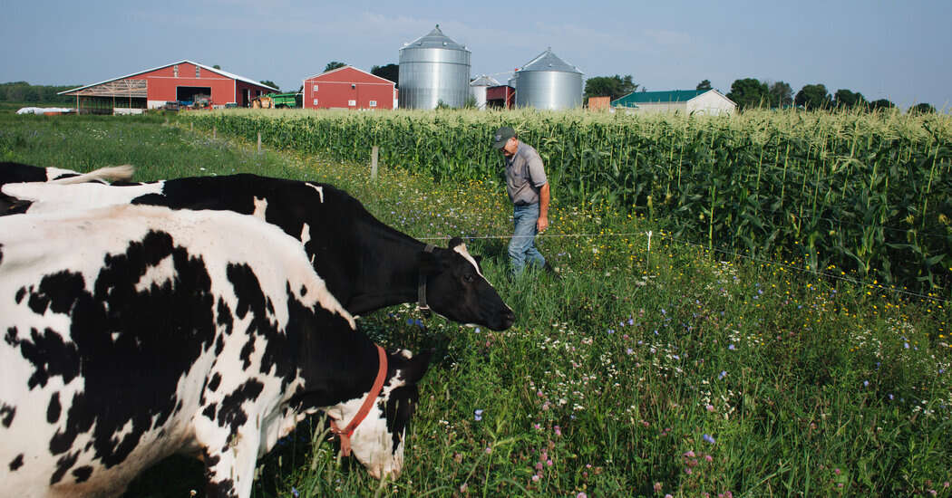 U.S. Farmers Brace for New Trump Trade Wars Amid Tariff Threats