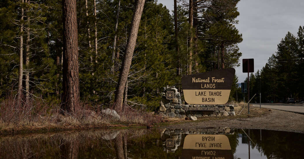 Cuts Could Close Facilities in California’s National Forests, Memo Says