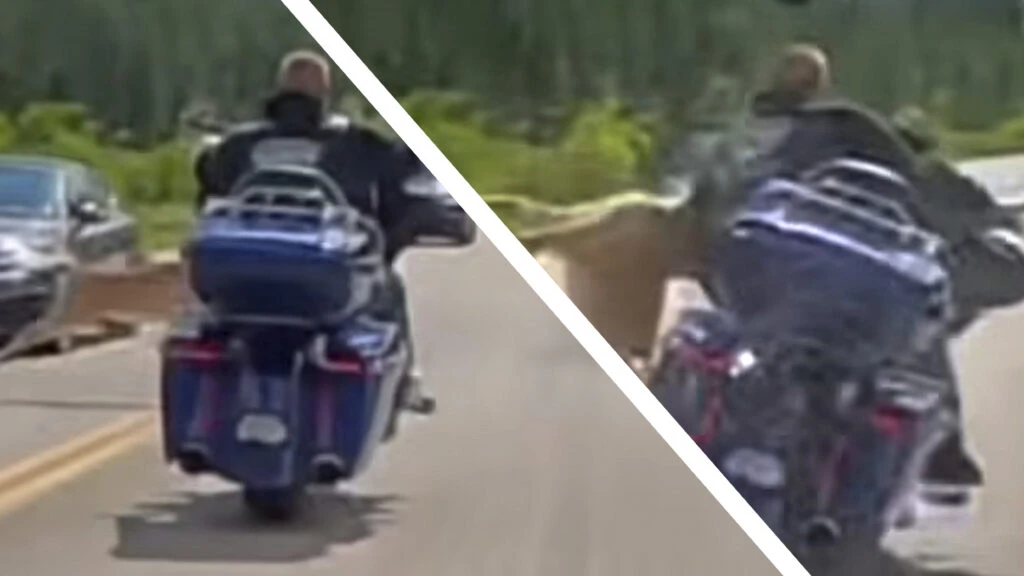 Harley Rider Hits Deer At Speed And Somehow Never Falls Off