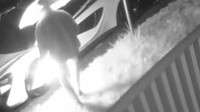 Arsonist Torches McLaren Supercar With Pizza Boxes