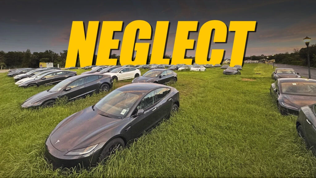Hundreds Of Brand-New Teslas Roasting Under The Florida Sun In Overgrown Field