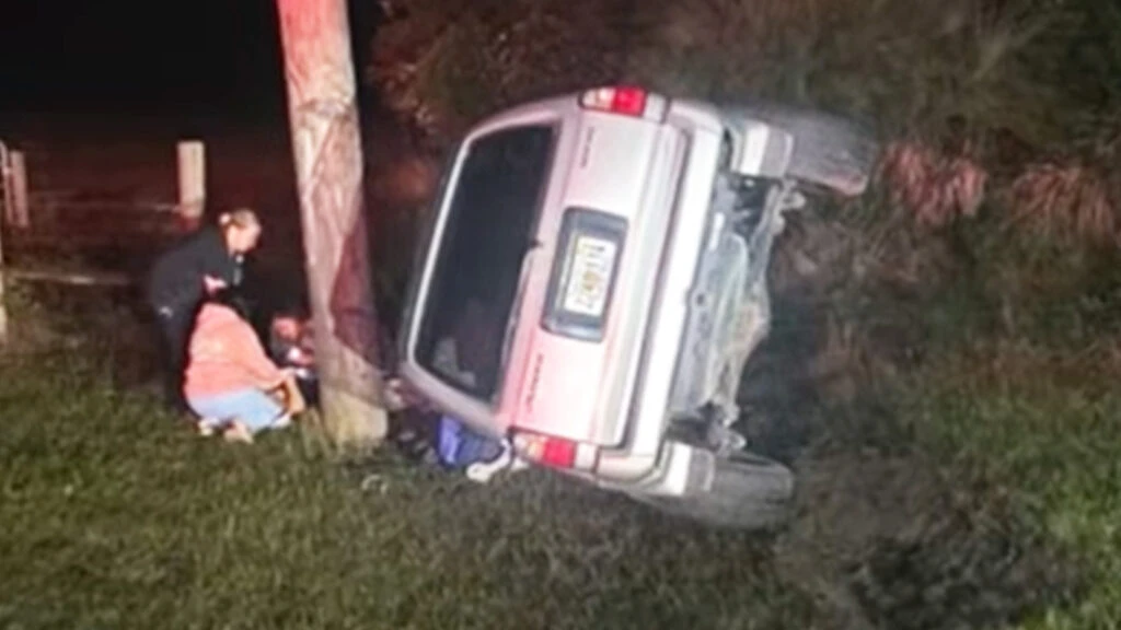 A 9-Foot Gator, A Steel Pole, And One Toyota 4Runner That Took Both Hits