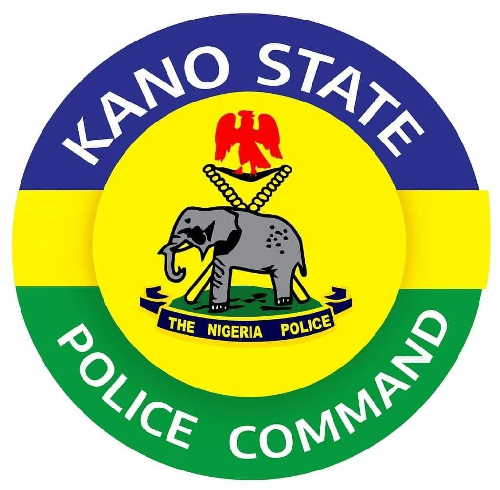 345 in police net as Kano cracks down on crime