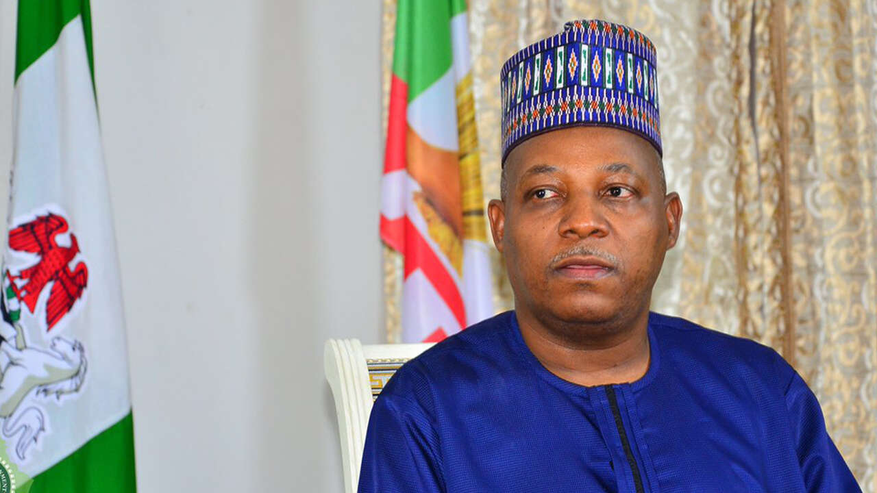 Reps ask Shettima to summon emergency meeting of Niger Delta Power Holding Company board