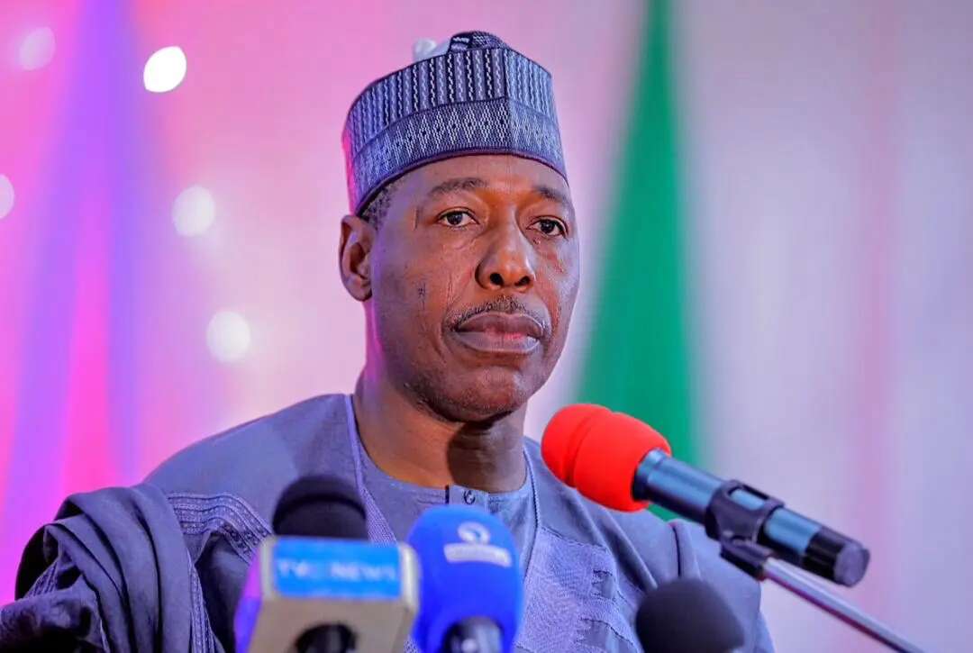 Borno: 95% of protesters less than 14 years – Gov Zulum