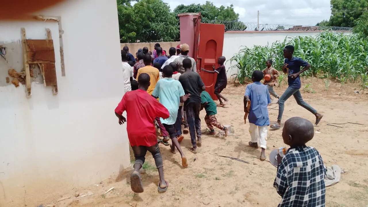 Three killed as protesters attempt to vandalize food storage facilities in Yobe