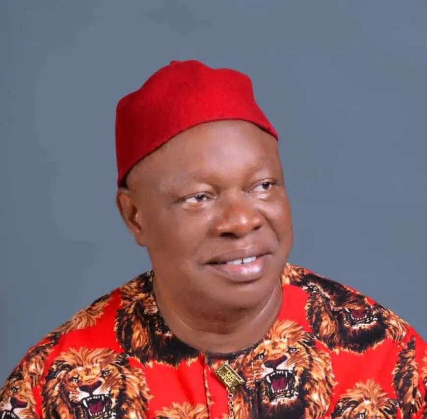 Ebonyi South: Tribunal upholds Senator Okorie Ani’s election