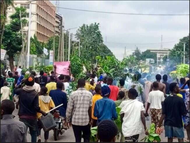 Address obstacles strangling revival of Nigerian refineries – Northern Coalition to Tinubu