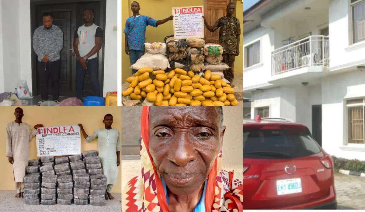 Convicted baron loses VGC mansion, SUV to FG, as NDLEA arrests grandma for drugs in Lagos