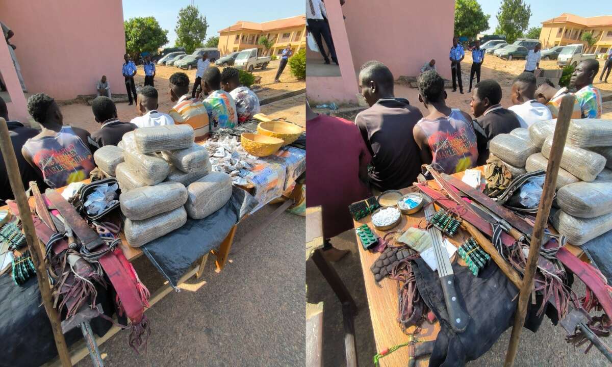 Police parade 17 crime suspects in Gombe, recover arms, hard drugs