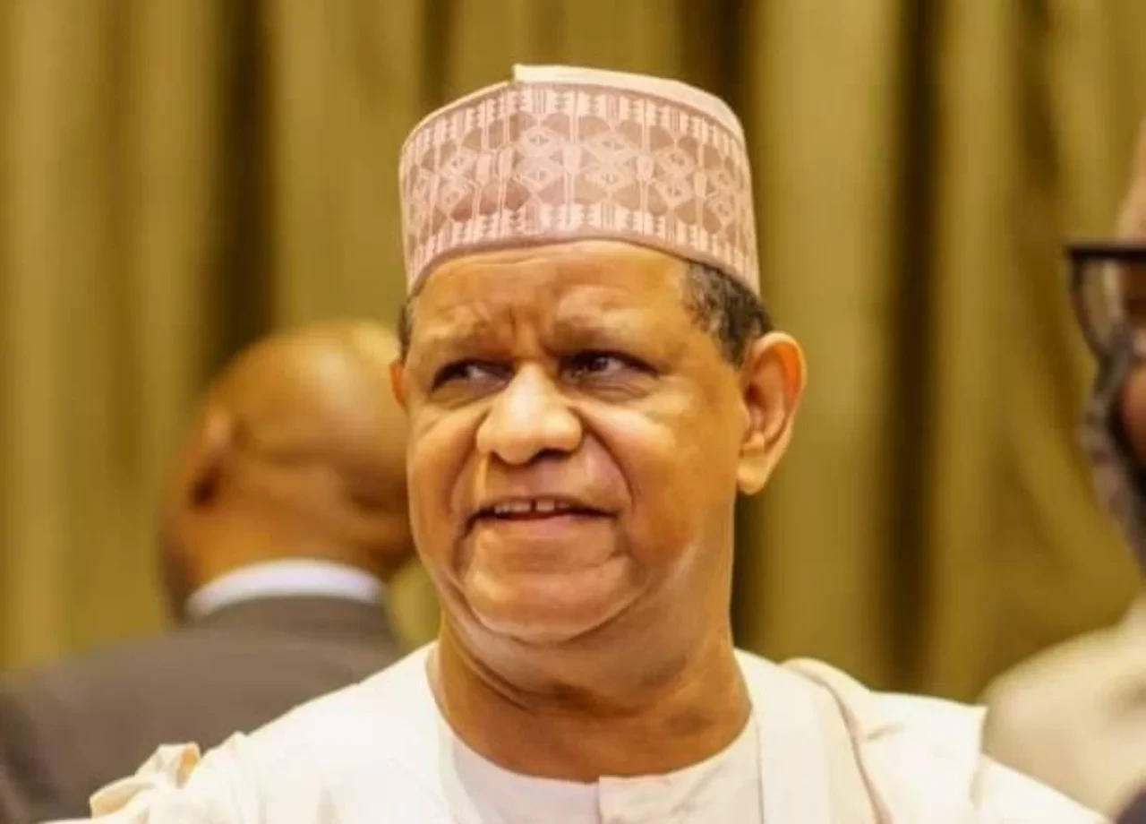 ADC presidential primary: Why I’m contesting for presidency – Hayatu-Deen