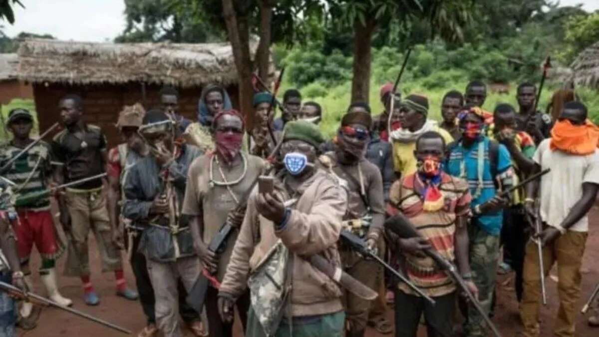 Ambazonia rebels control Belegete community, block Nigerian troops