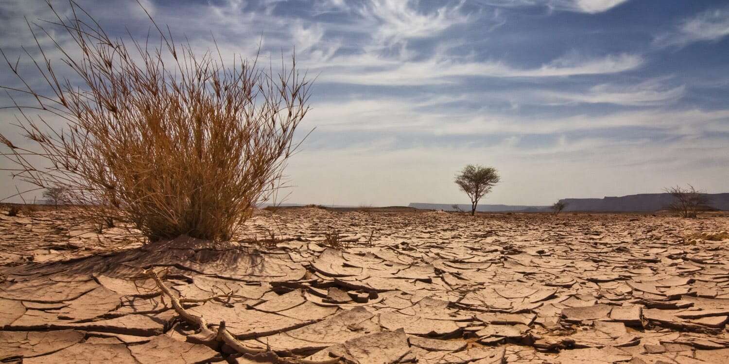 Kano govt approves climate change policy to drive sustainability, resilience