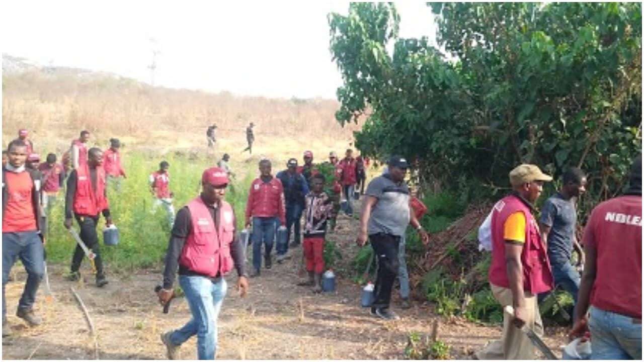 NDLEA busts arms smugglers in Zamfara, foils delivery to bandits