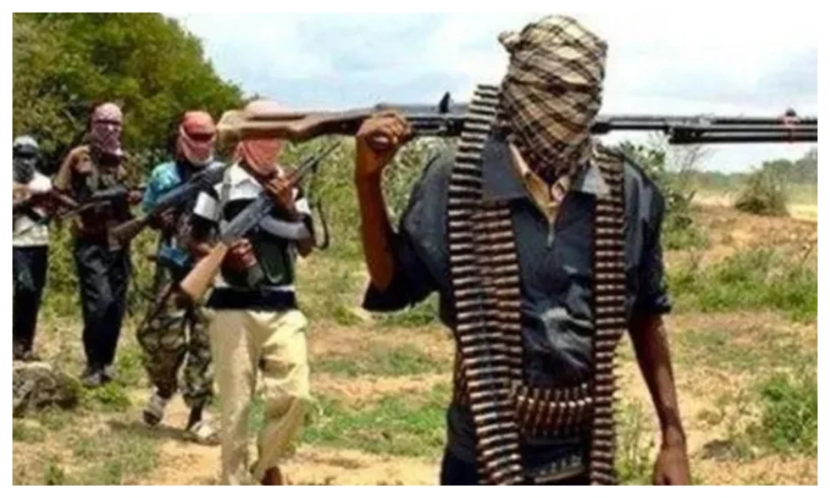 Argungu Emir advises communities to acquire weapons legally for self-defence against bandits