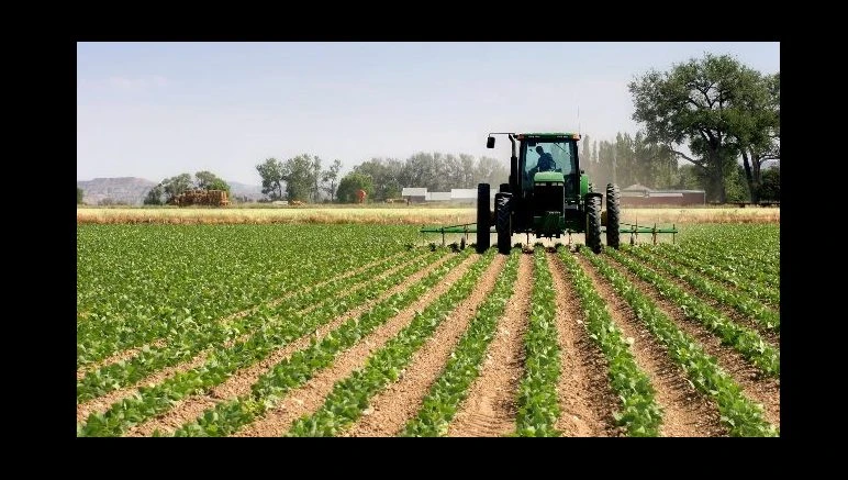 Don’t lease our institution’s lands to outsiders – NACHCARD to Nigerian govt