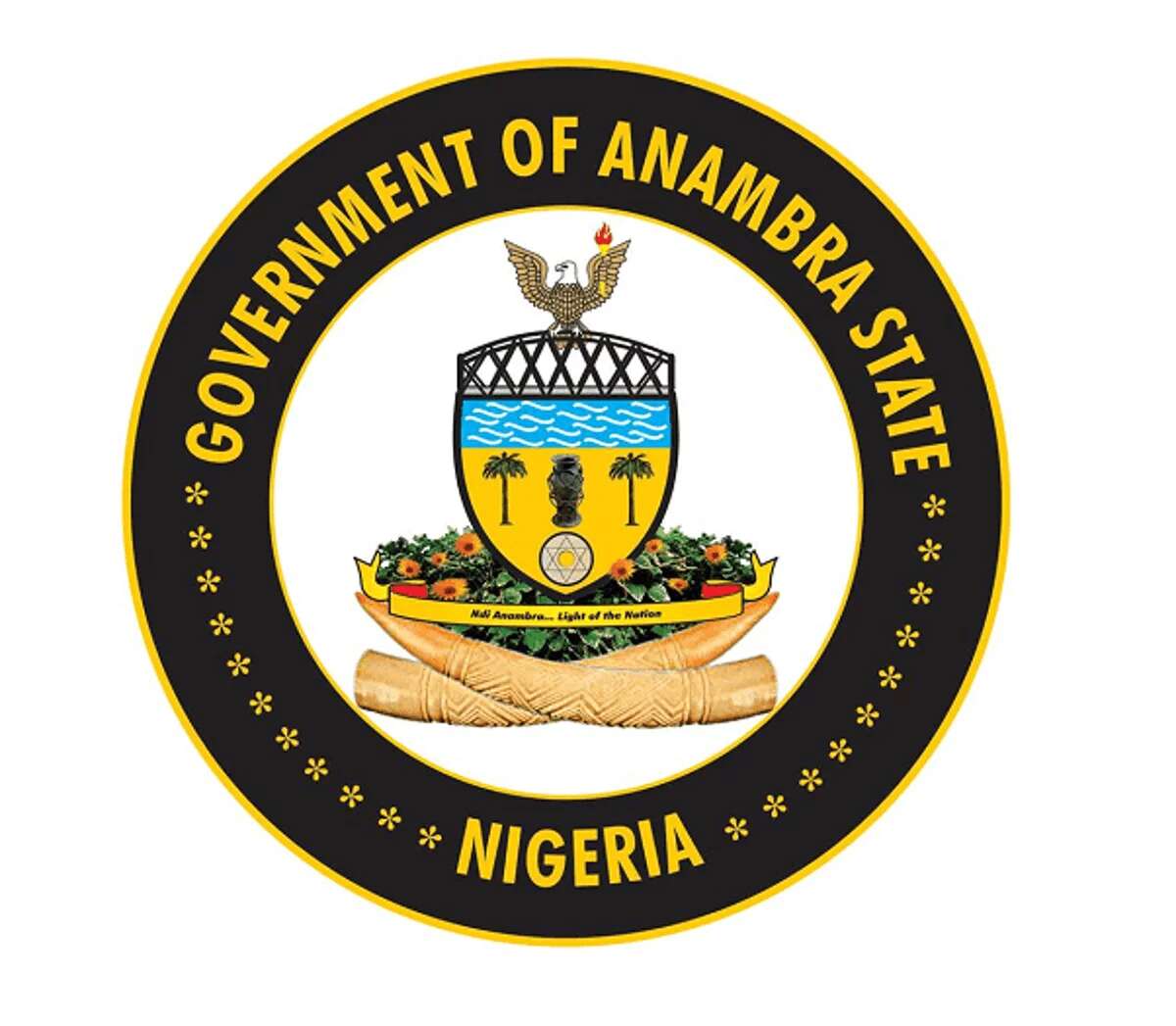 Anambra govt shuts school over alleged bullying