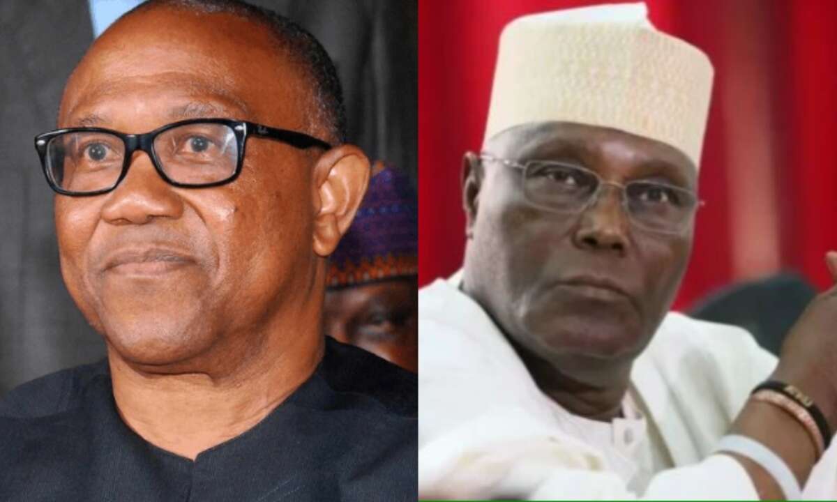 Don’t destroy democratic institutions – Ohanaeze to Obi, Atiku