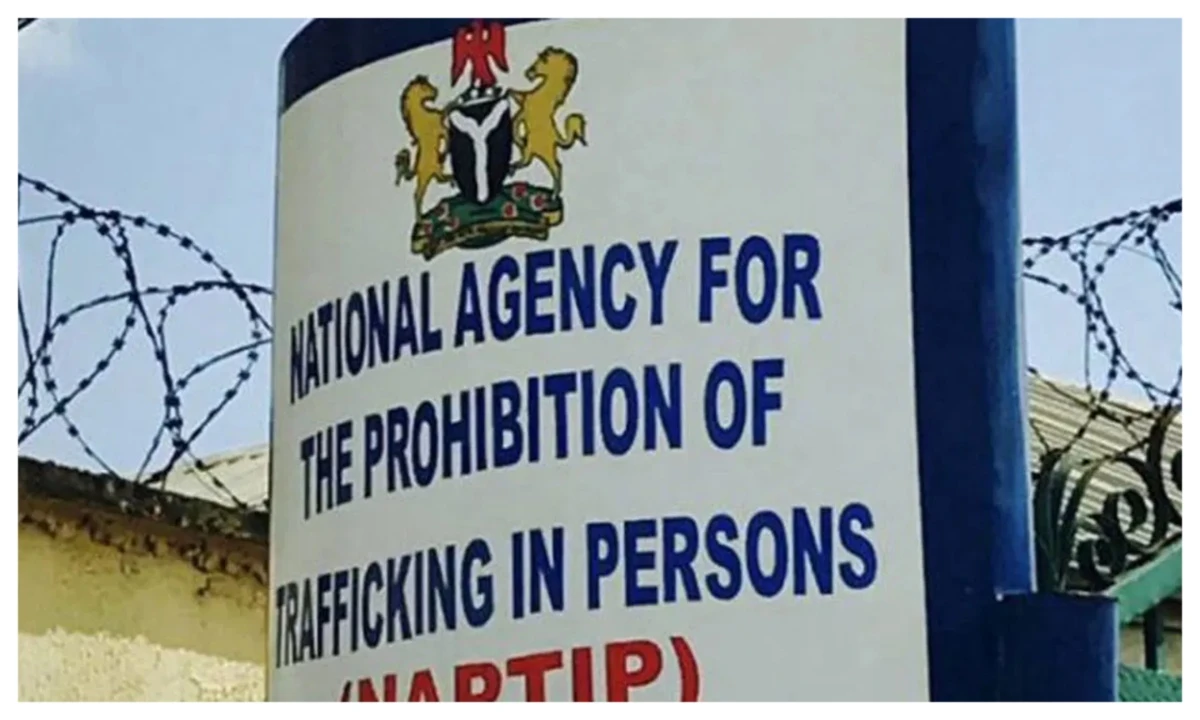 NAPTIP says 8 children allegedly abducted by officials in Asaba orphanage stolen from Kano